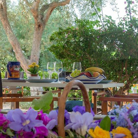 Casa Vacanze Il Bacio Piano di Sorrento Zewnętrze zdjęcie